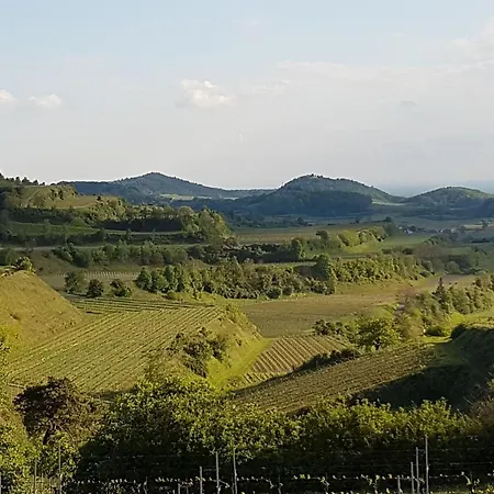 Feriendomizil Bergamini アパート Bischoffingen