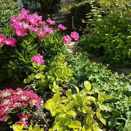 Feriendomizil Bergamini *