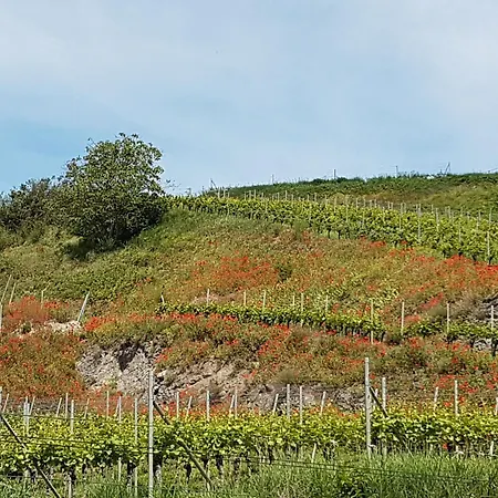 Feriendomizil Bergamini