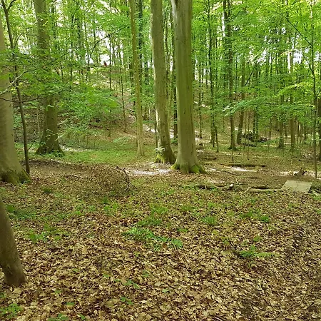 Feriendomizil Bergamini アパート