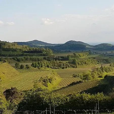 Feriendomizil Bergamini Apartment