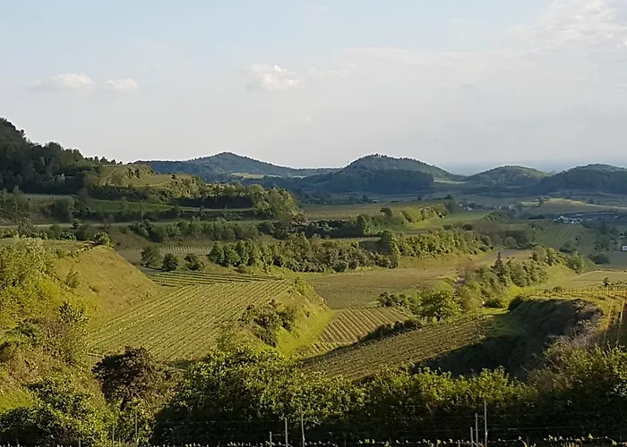 Feriendomizil Bergamini Apartament Bischoffingen